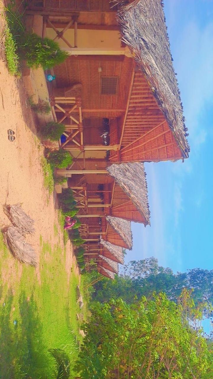 Lazy Panda Hotel ฮัมปี ห้อง รูปภาพ