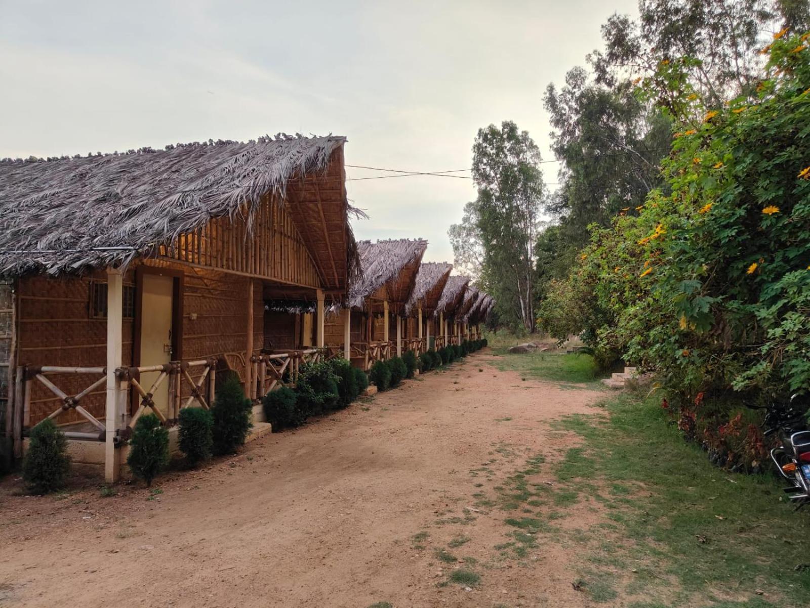 Lazy Panda Hotel ฮัมปี ห้อง รูปภาพ